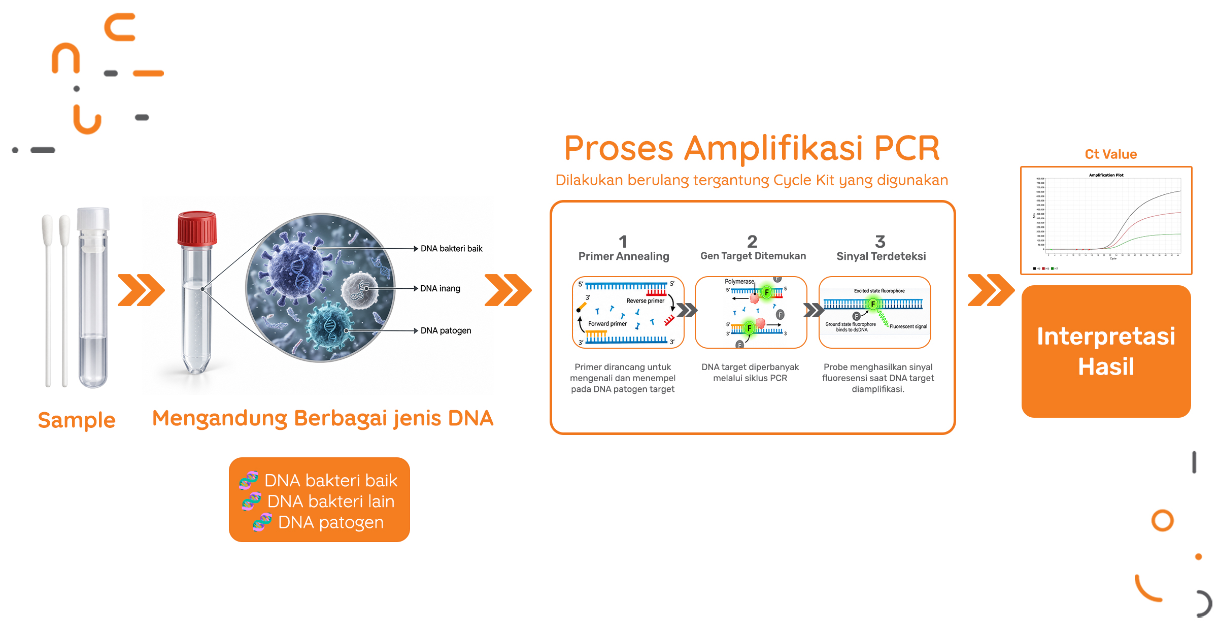 20261014 Nusantics Image Artikel Design 2  Bagaimana Pcr Menemukan DNA