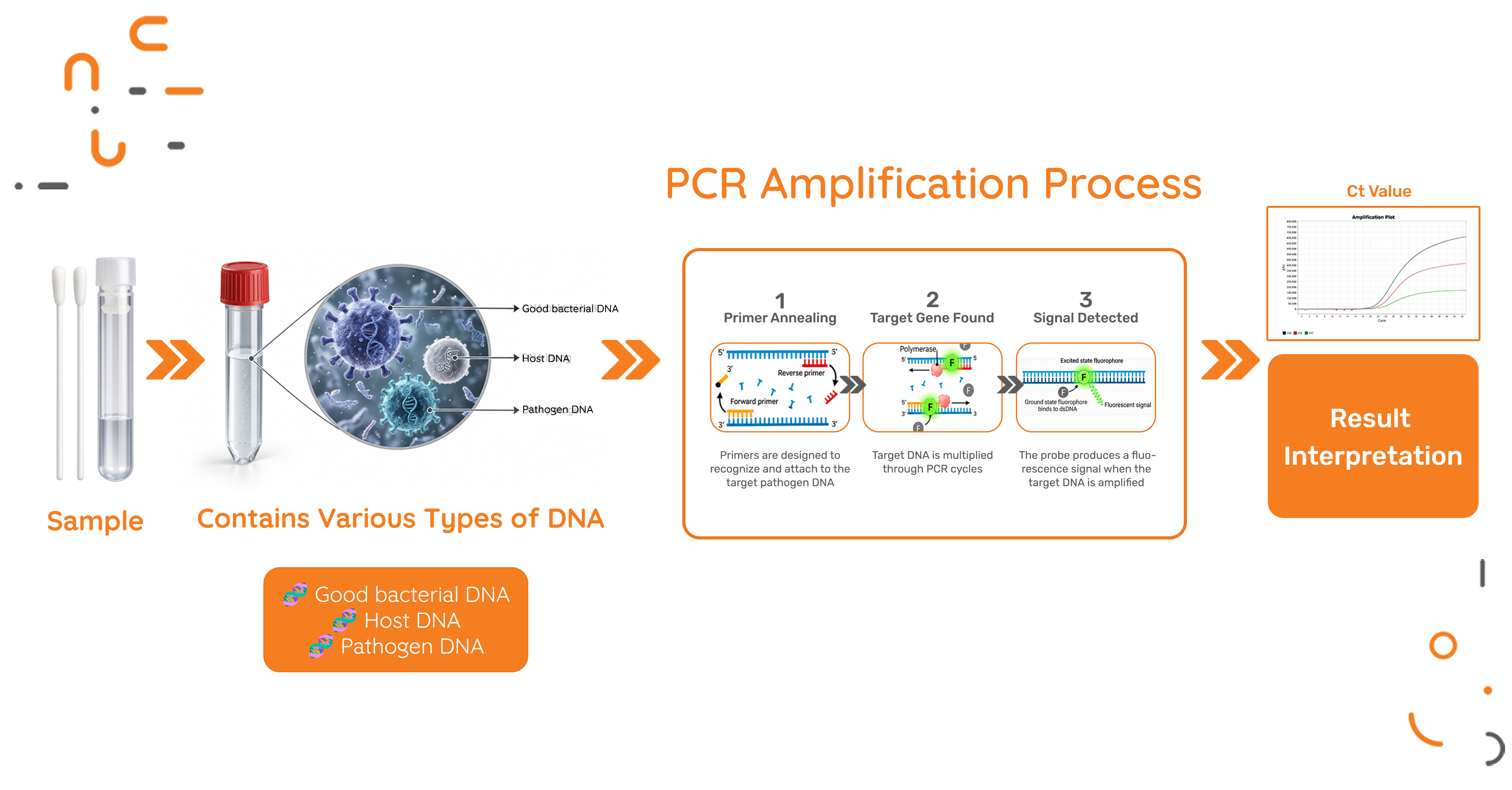 20261014 Nusantics Image Artikel Design 2  Bagaimana Pcr Menemukan DNA Eng